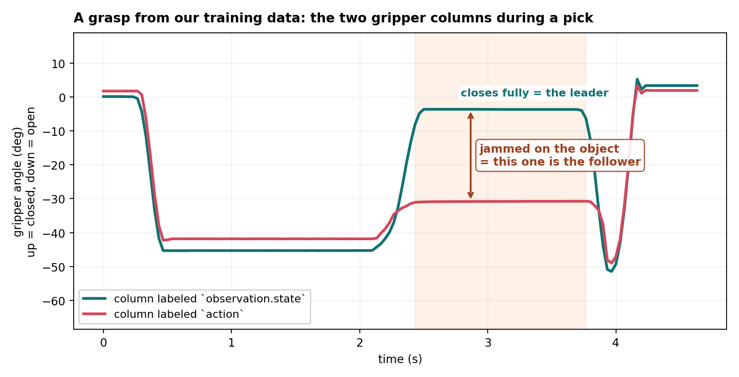Gripper angle over time during a grasp: the observation.state column closes fully while the action column stops at the object's width, with the gap annotated.